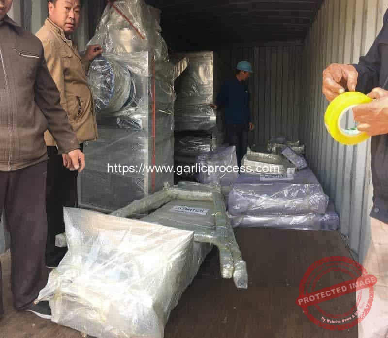 Automatic-Garlic-Clove-Production-Line-Delivery-in-Container